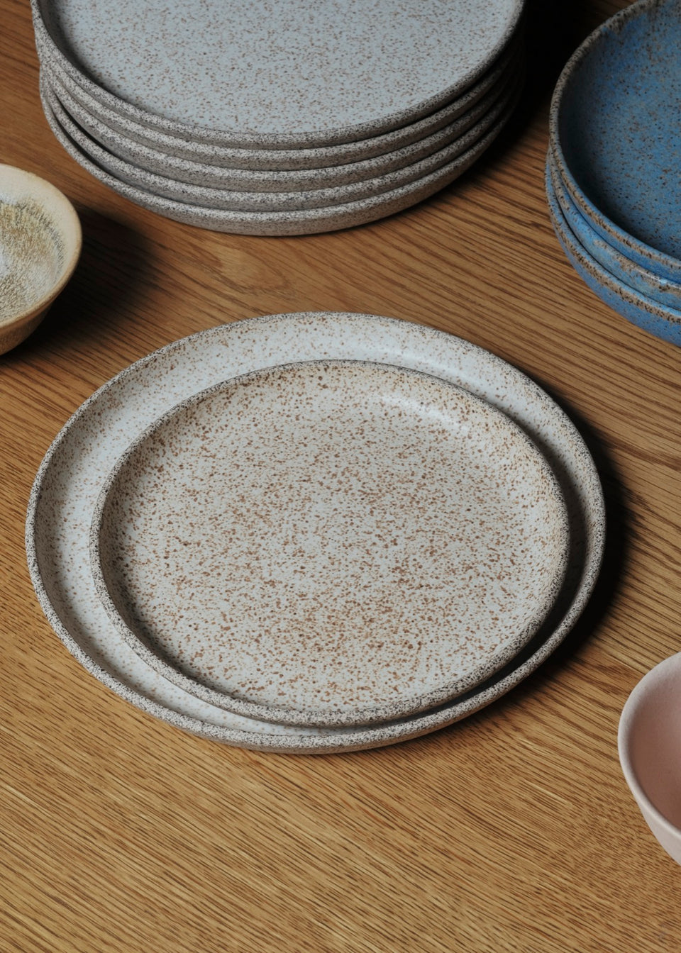 Everyday Dinner Plate in Palomino