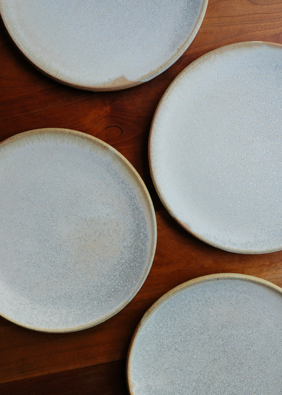 Sand Dollar Share Plate