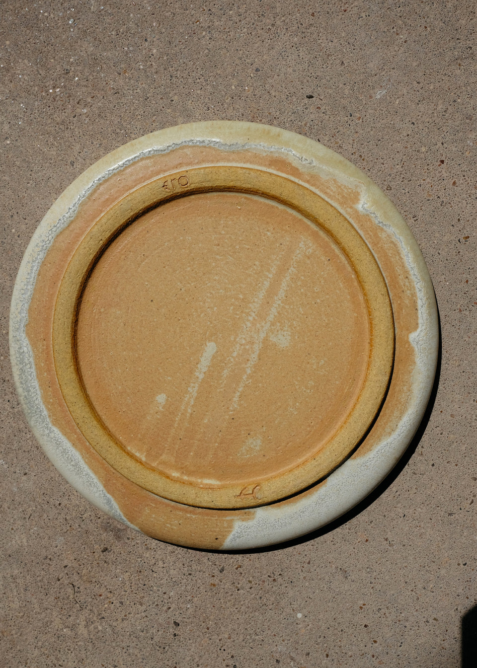 Sand Dollar Share Plate