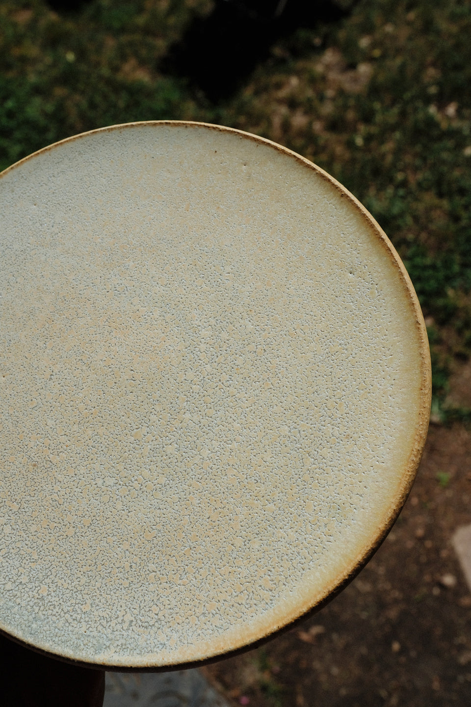 Sand Dollar Share Plate