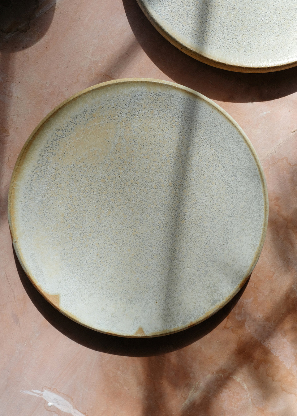 Sand Dollar Share Plate