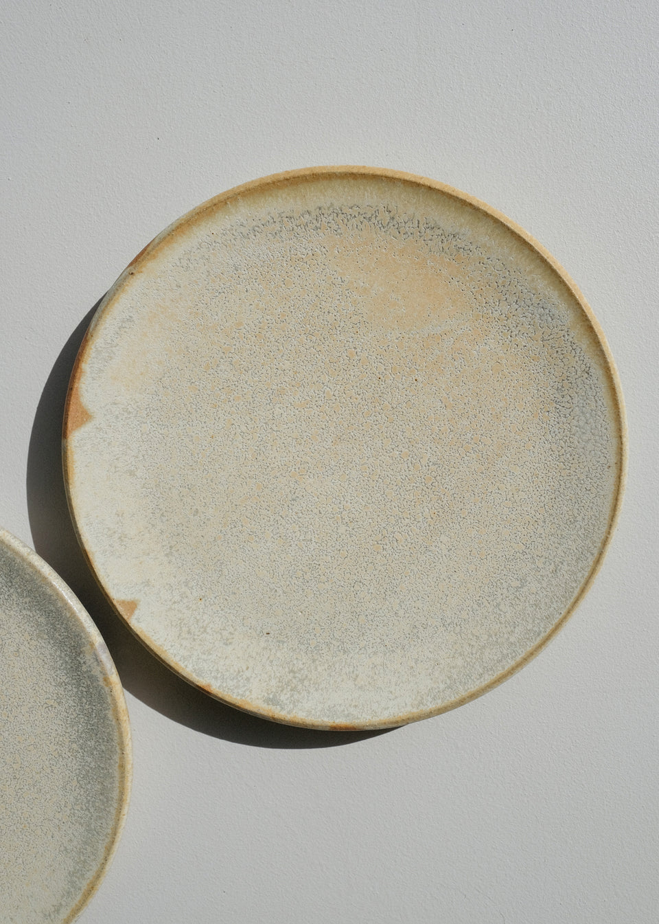 Sand Dollar Share Plate