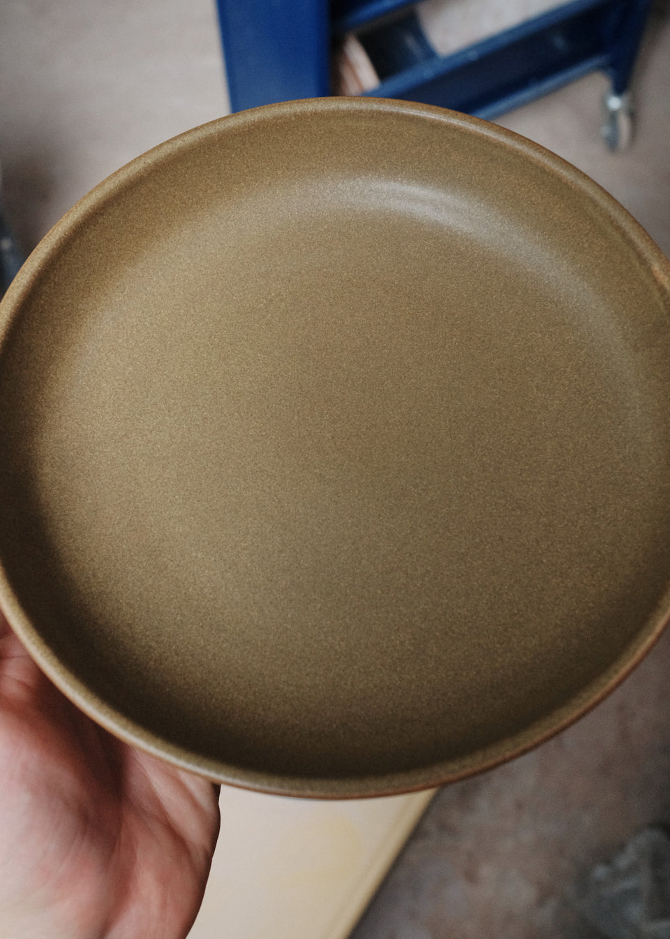 Everything Bowl in Avocado Pit