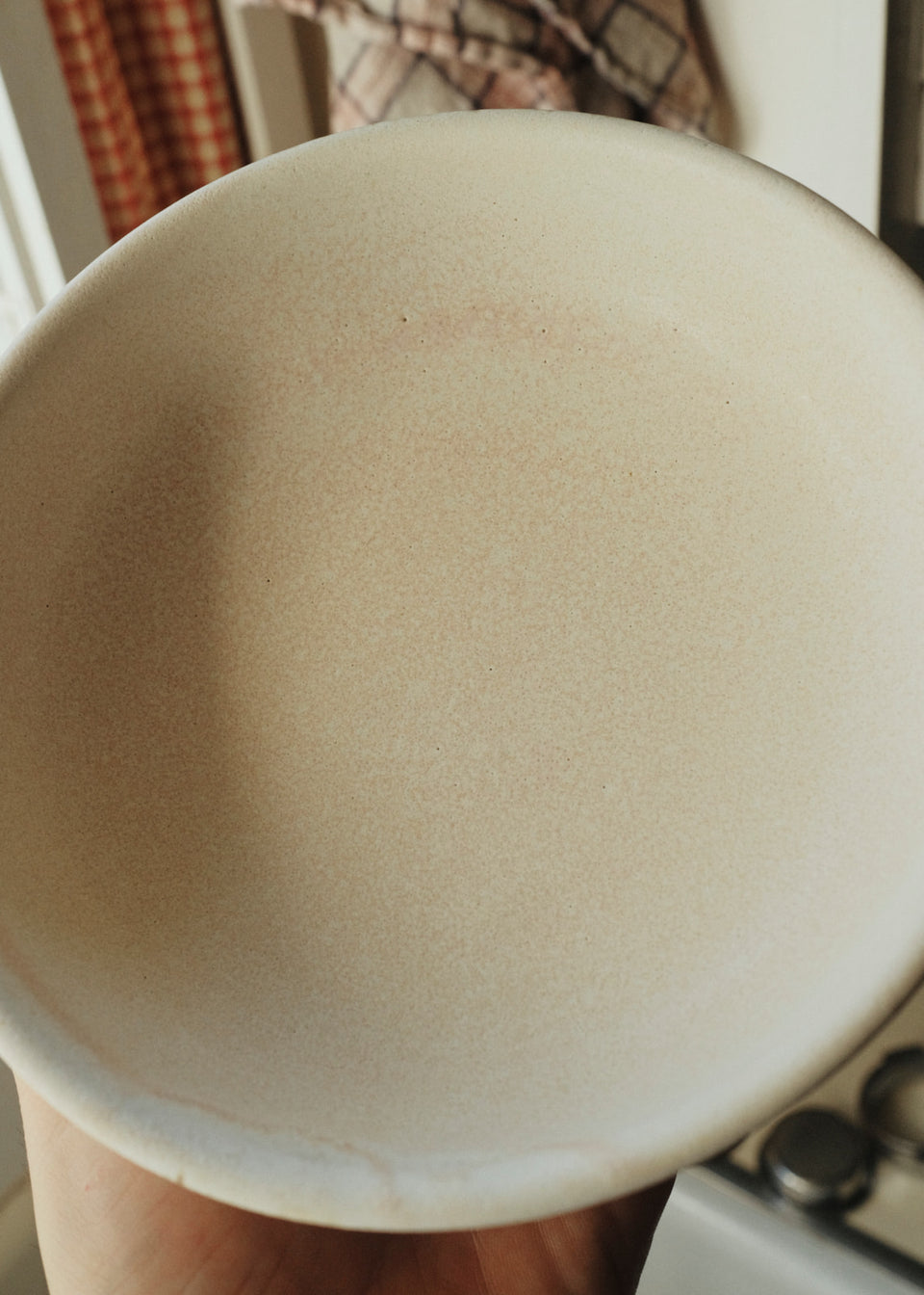 Everything Else Bowl in Rose Water