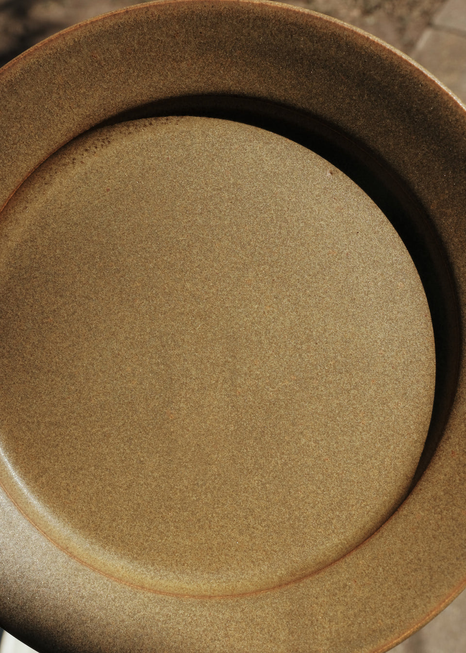 Garden Plate in Avocado Pit
