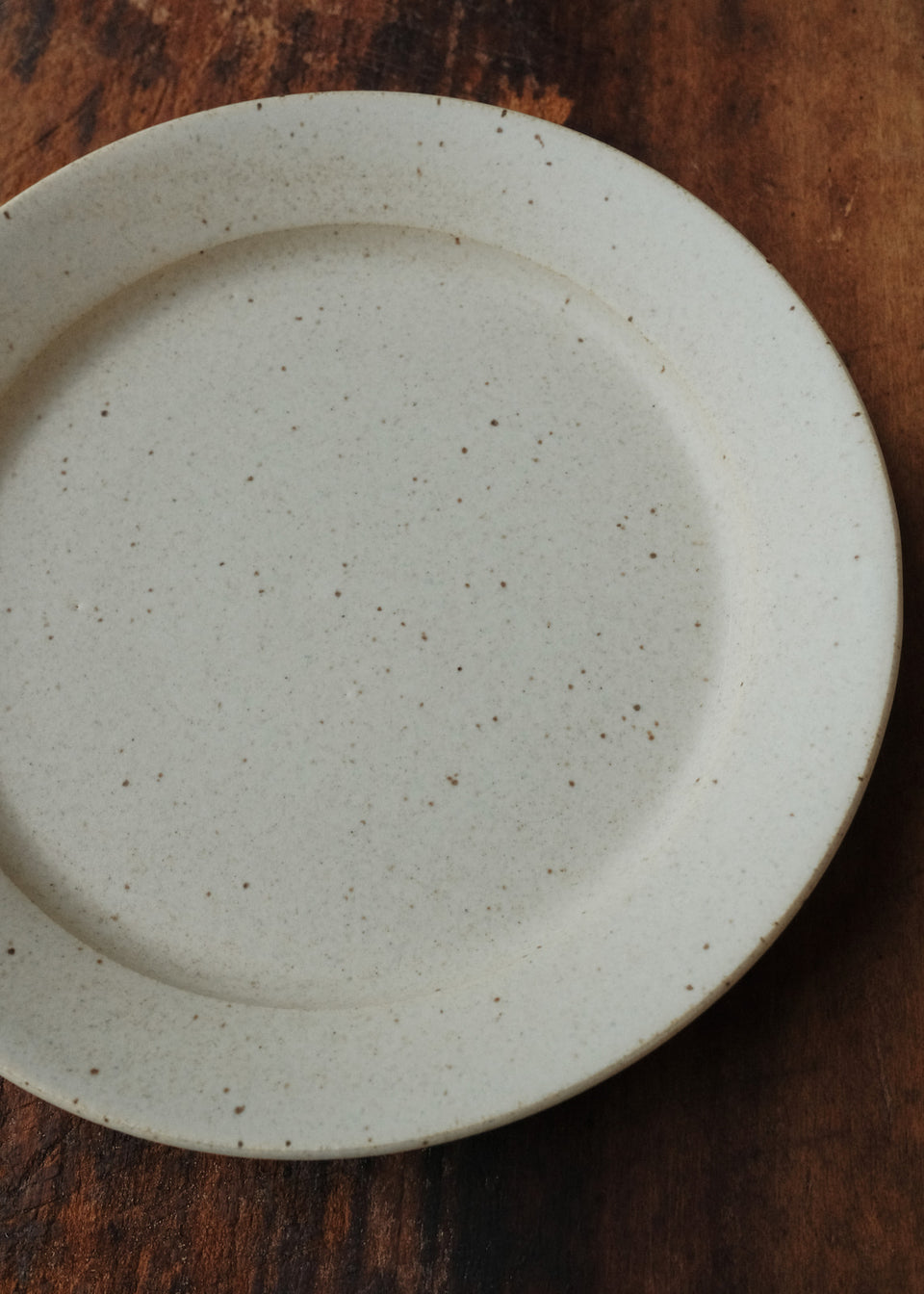 Garden Plate in Speckled Tivoli