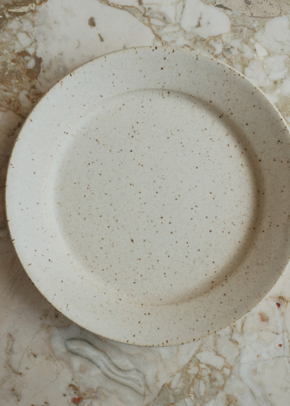 Garden Plate in Speckled Tivoli