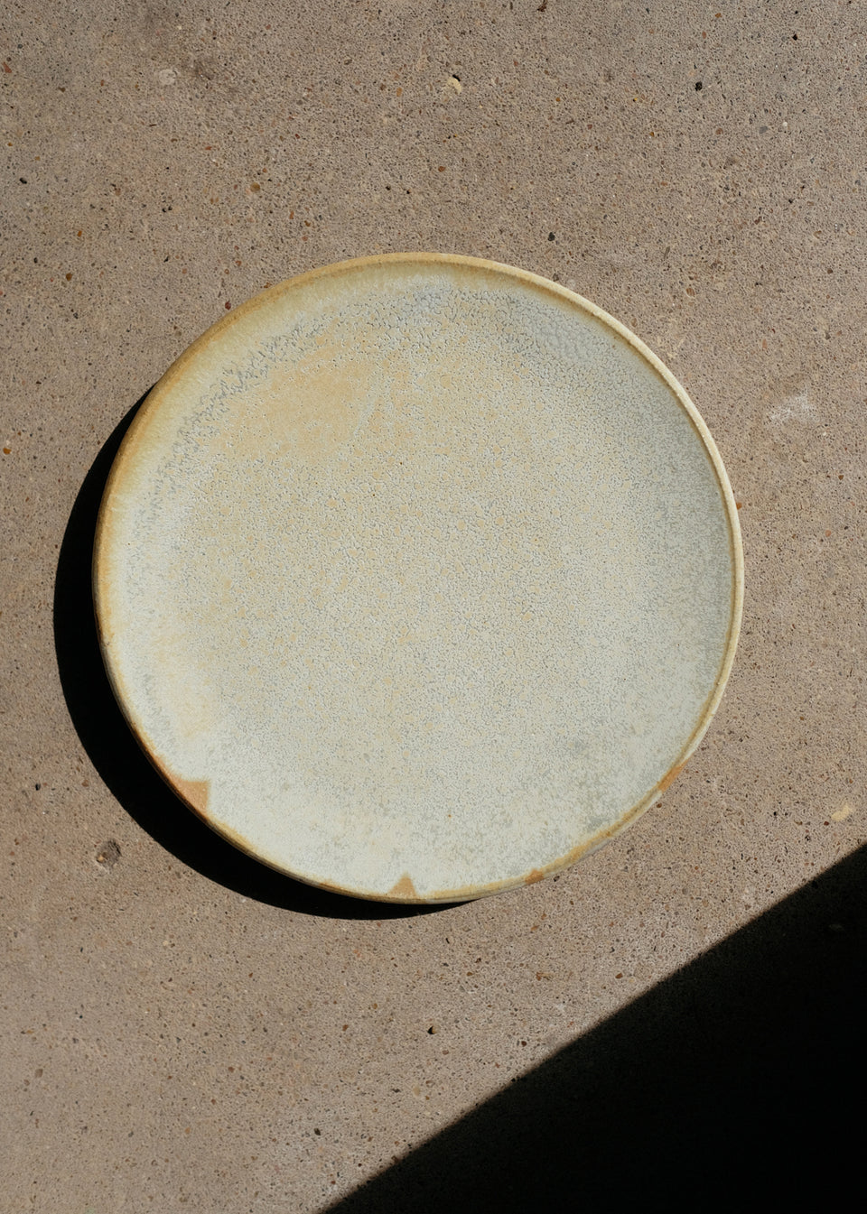 Sand Dollar Share Plate